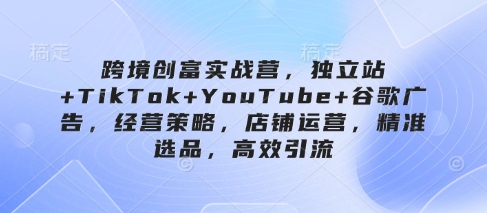 跨境创富实战营，独立站+TikTok+YouTube+谷歌广告，经营策略，店铺运营，精准选品，高效引流-萤火网创
