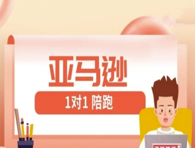 亚马逊1对1陪跑课(FBA/FBM精铺)跨境亚马逊教程-萤火网创