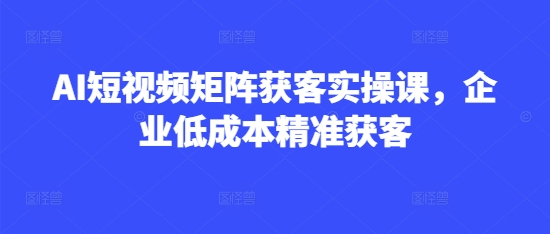 AI短视频矩阵获客实操课，企业低成本精准获客-萤火网创