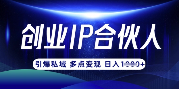 云帆·创业ip合伙人打造3.0，从0到1教你做网创，实现月入过W-萤火网创