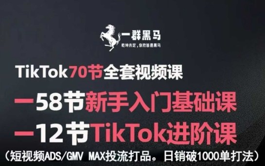 TikTok全套视频课，新手入门+进阶课，短视频ADS-GMV MAX投流打品，日销破1000单打法-萤火网创