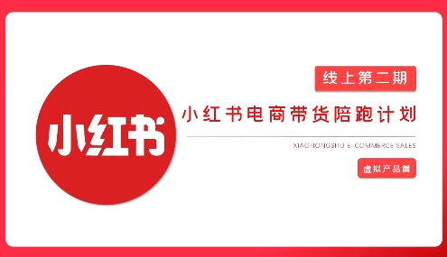 2025小红书虚拟电商实战课，从0到1打造无货源店铺，AI+爆款笔记轻松变现-萤火网创
