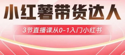 小红薯达人带货启航计划，3节直播课从0-1入门小红书-萤火网创