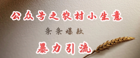 deepseek写农村小项目，条条爆款，暴力引流-萤火网创