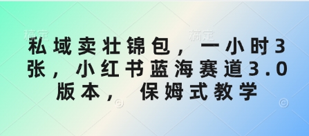 私域卖壮锦包，一小时3张，小红书蓝海赛道3.0版本， 保姆式教学-萤火网创