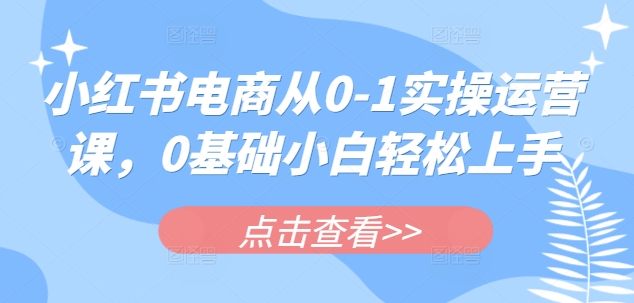 小红书电商从0-1实操运营课，0基础小白轻松上手-萤火网创