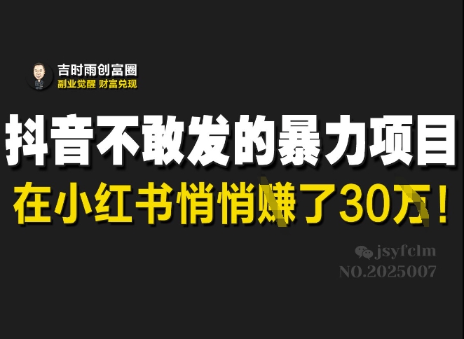 抖音不敢发的暴利项目，在小红书悄悄挣了30W-萤火网创