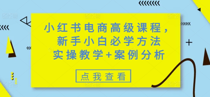小红书电商高级课程，新手小白必学方法，实操教学+案例分析-萤火网创
