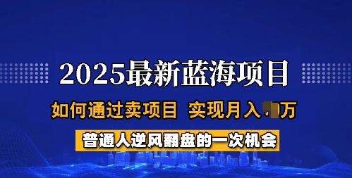 2025蓝海项目，普通人如何通过卖项目，实现月入过W，全过程【揭秘】-萤火网创
