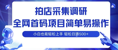 拍店采集调研，全网首码项目，简单易操作， 小白也能轻松上手，多账号操作，轻松日入5张【揭秘】-萤火网创