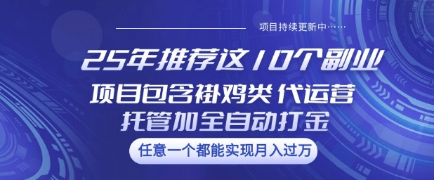 25年推荐这10个副业项目包含褂鸡类、代运营托管类、全自动打金类【揭秘】-萤火网创