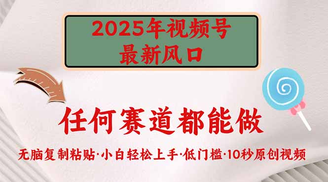 2025年视频号新风口，低门槛只需要无脑执行-萤火网创