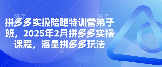 拼多多实操陪跑特训营弟子班，2025年2月拼多多实操课程，海量拼多多玩法-萤火网创