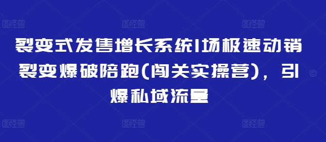 裂变式发售增长系统1场极速动销裂变爆破陪跑(闯关实操营)，引爆私域流量-萤火网创