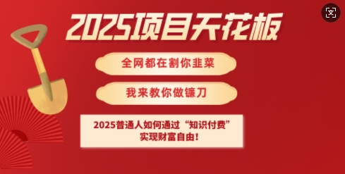 2025项目天花板普通人如何通过知识付费，实现财F自由【揭秘】-萤火网创