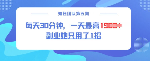 副业她只用了1招，每天30分钟，无脑二创，一天最高1.5k-萤火网创