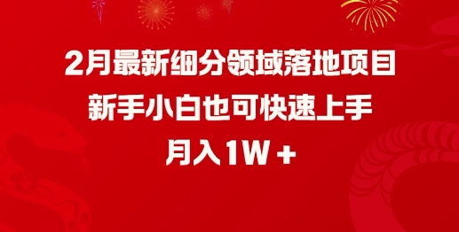2月最新细分领域落地项目，新手小白也可快速上手，月入1W-萤火网创
