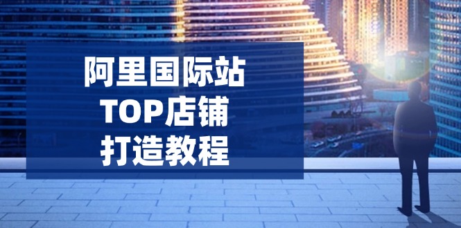 阿里国际站TOP店铺打造教程：涵盖平台到高阶，解决运营难题，提升询盘-萤火网创