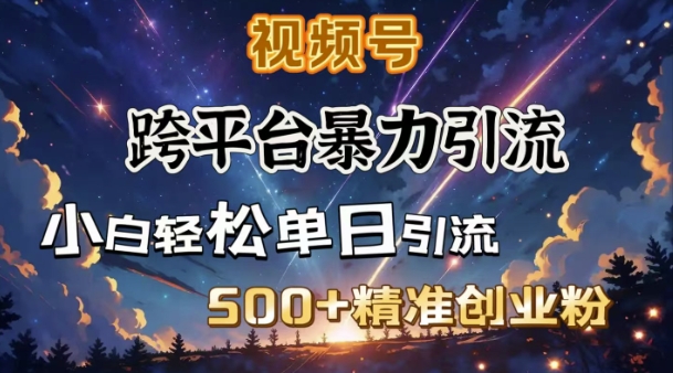 跨平台暴力引流，私域完美闭环，日引500+精准创业粉-萤火网创