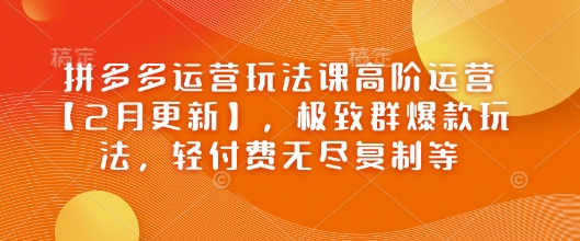 拼多多运营玩法课高阶运营【2月更新】，极致群爆款玩法，轻付费无尽复制等-萤火网创