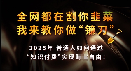 知识付费如何做到月入过W+，2025我来教你做“镰刀”【揭秘】-萤火网创