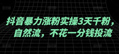抖音暴力涨粉实操3天千粉，自然流，不花一分钱投流，实操经验分享-萤火网创