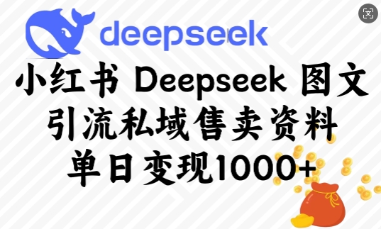 小红书Deepseek图文引流私域售卖资料，单日变现多张-萤火网创