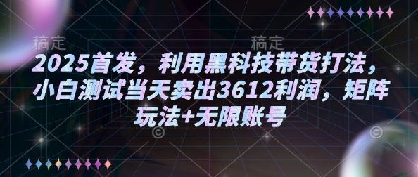 2025首发，利用黑科技带货打法，小白测试当天卖出3612利润，矩阵玩法+无限账号【揭秘】-萤火网创