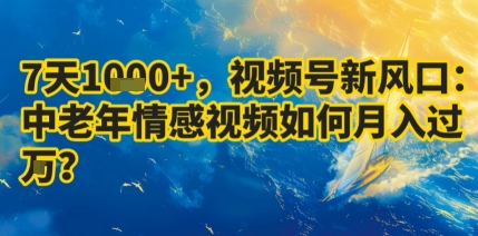 7天收益1k+，视频号新风口：中老年情感视频如何月入过W?-萤火网创