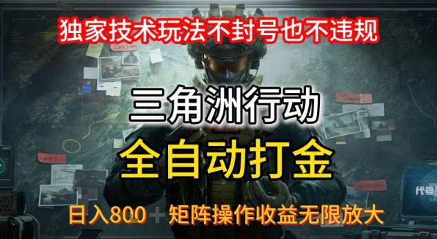 三角洲板砖揭秘项目免费送卡密-萤火网创