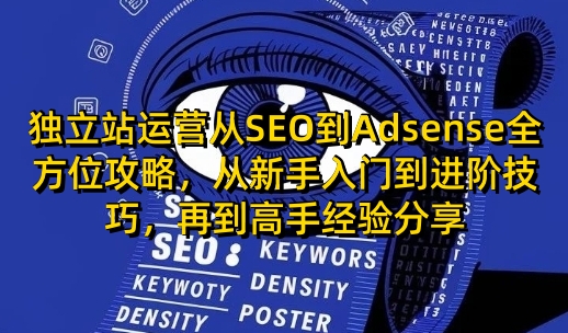 独立站运营从SEO到Adsense全方位攻略，从新手入门到进阶技巧，再到高手经验分享-萤火网创