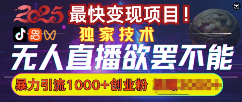 欲罢不能的无人直播引流，超暴力日引流1000+高质量精准创业粉-萤火网创