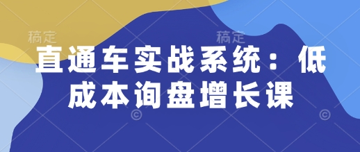 直通车实战系统：低成本询盘增长课，让个人通过技能实现升职加薪，让企业低成本获客，订单源源不断-萤火网创