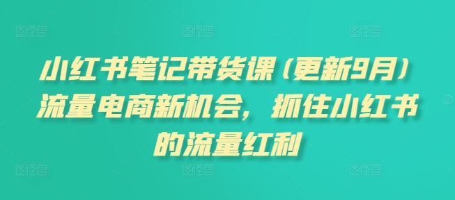 小红书笔记带货课(更新25年1月)流量电商新机会，抓住小红书的流量红利-萤火网创