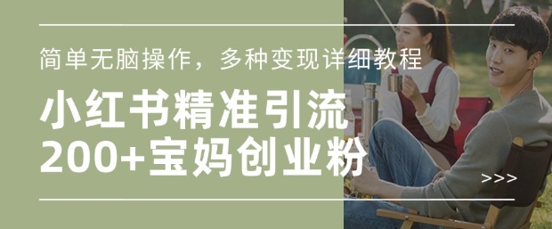 小红书混剪日引200+宝妈创业粉，简单无脑操作，多种变现详细教程-萤火网创