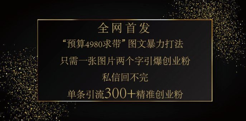小红书神奇图片引流法，只需一张图，就能单条笔记凭借此方法，轻松引流 300 + 精准创业粉-萤火网创