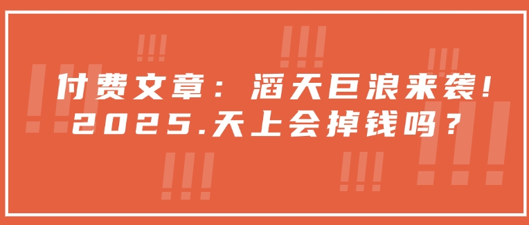 付费文章：滔天巨浪来袭！2025天上会掉钱吗？-萤火网创