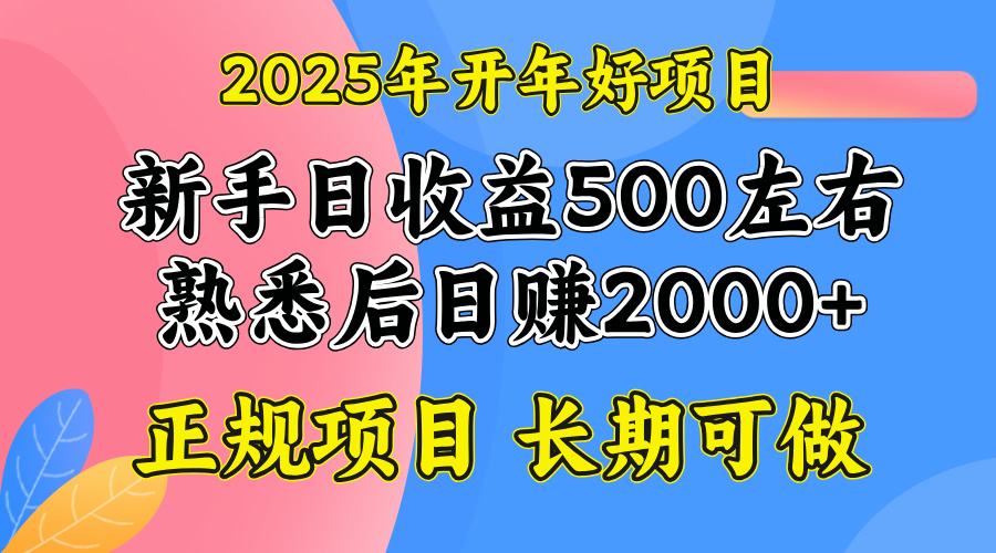 2025开年好项目，单号日收益2000左右-萤火网创