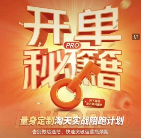 淘宝开单秘籍PRO，量身定制淘天实战陪跑计划，告别做店迷茫、快速突破运营瓶颈期-萤火网创