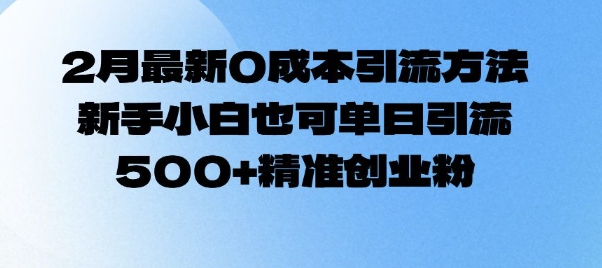 2月最新0成本引流方法，新手小白也可单日引流500+精准创业粉-萤火网创