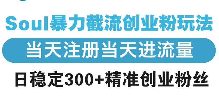 Soul暴力截流创业粉玩法，当天注册当天进流量，日稳定300+精准创业粉丝-萤火网创