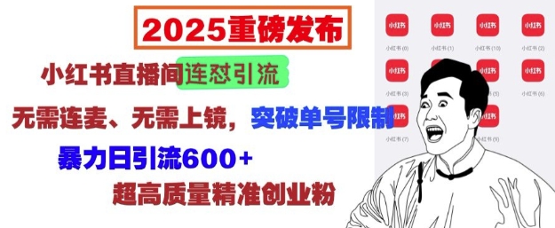 2025重磅发布：小红书直播间连怼引流，无需连麦、无需上镜，突破单号限制，暴力日引流600+-萤火网创