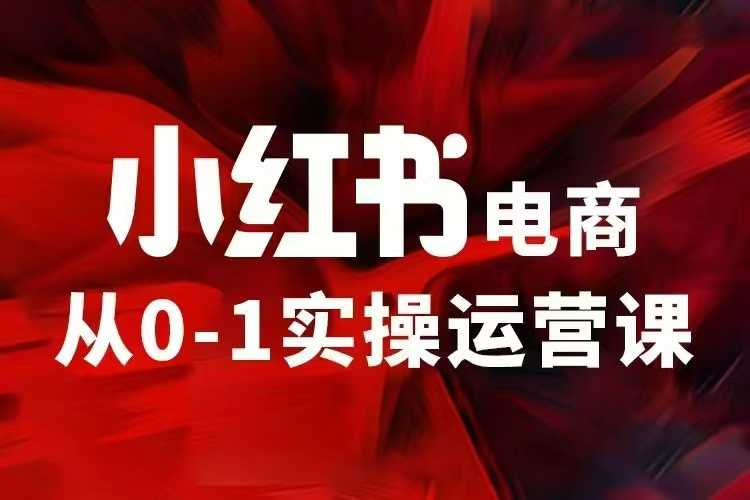 小红书电商运营，97节小红书vip内部课，带你实现小红书赚钱-萤火网创