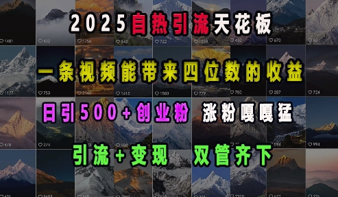 2025自热引流天花板，一条视频能带来四位数的收益，引流+变现双管齐下，日引500+创业粉，涨粉嘎嘎猛-萤火网创