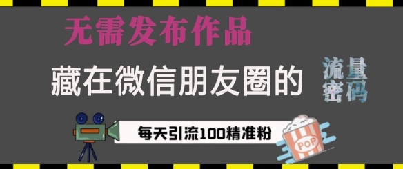 藏在微信朋友圈的流量密码，无需发布作品，单日引流100+精准创业粉【揭秘】-萤火网创