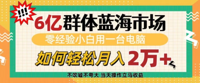 6亿群体蓝海市场，零经验小白用一台电脑，如何轻松月入过w【揭秘】-萤火网创
