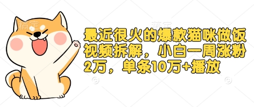 最近很火的爆款猫咪做饭视频拆解，小白一周涨粉2万，单条10万+播放(附保姆级教程)-萤火网创