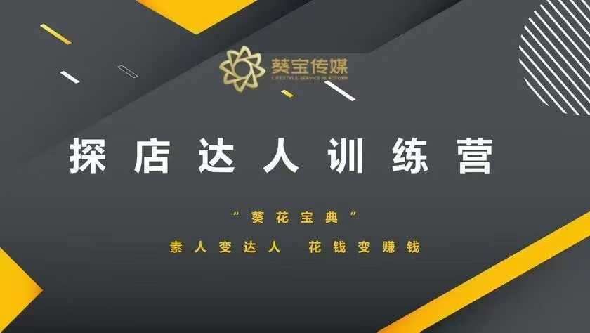 探店达人训练营，素人变达人，花钱变赚钱-萤火网创