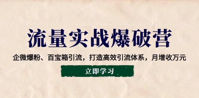 流量实战爆破营：企微爆粉、百宝箱引流，打造高效引流体系，月增收万元-萤火网创