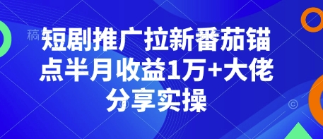 短剧推广拉新番茄锚点半月收益1万+大佬分享实操-萤火网创